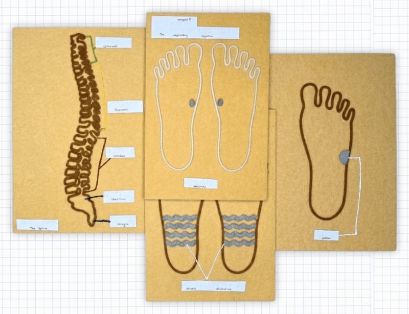 Three Reflexology Kit placards overlapping: the spine, both soles of the feet, and a single foot, each a raised-relief outline with Braille labels alongside.